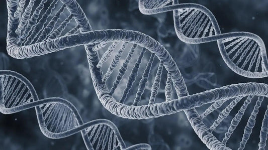human DNA in blue grey color